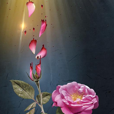 اوج مصیبت در کربلا