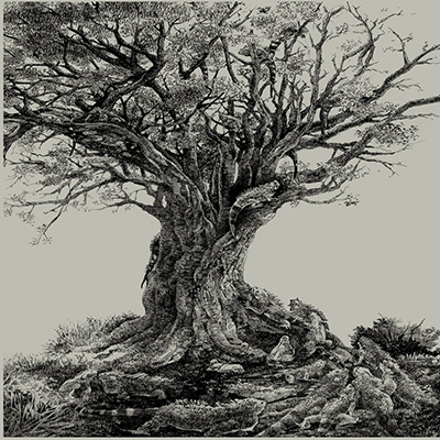 منتخبی از آثار هنری سانگ کانگ  Song Kang هنرمند آمریکایی